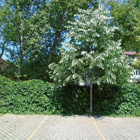 Apartman Sunny Siófok