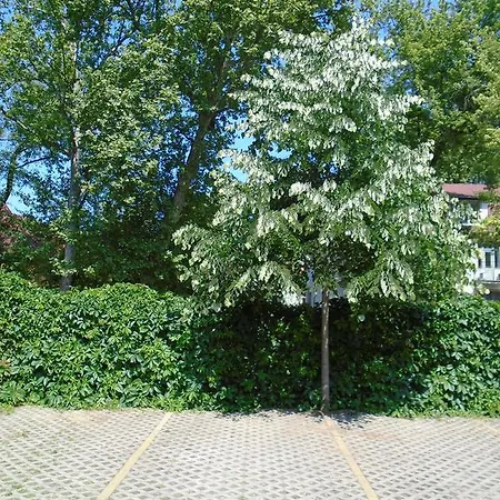 Apartment Sunny Siófok