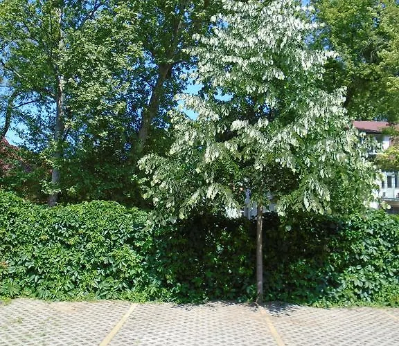 Appartement Sunny Siófok